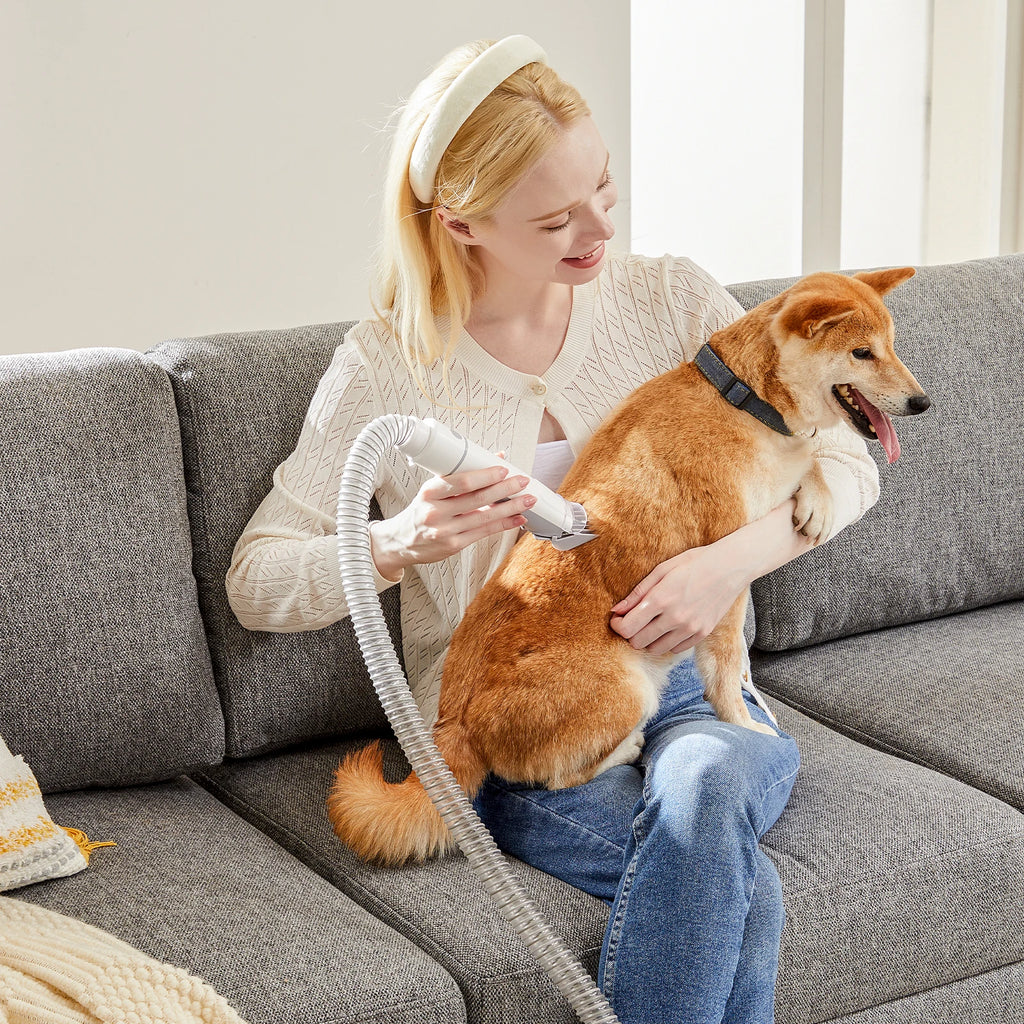 2.5L Pet Grooming Vacuum Kit – 3 Suction Modes, 5 Tools & Low-Noise Cordless Clippers
